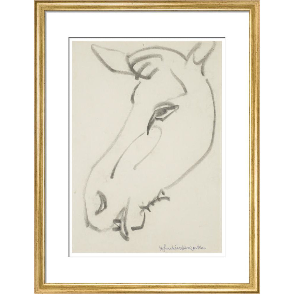 Head of a horse - Art print