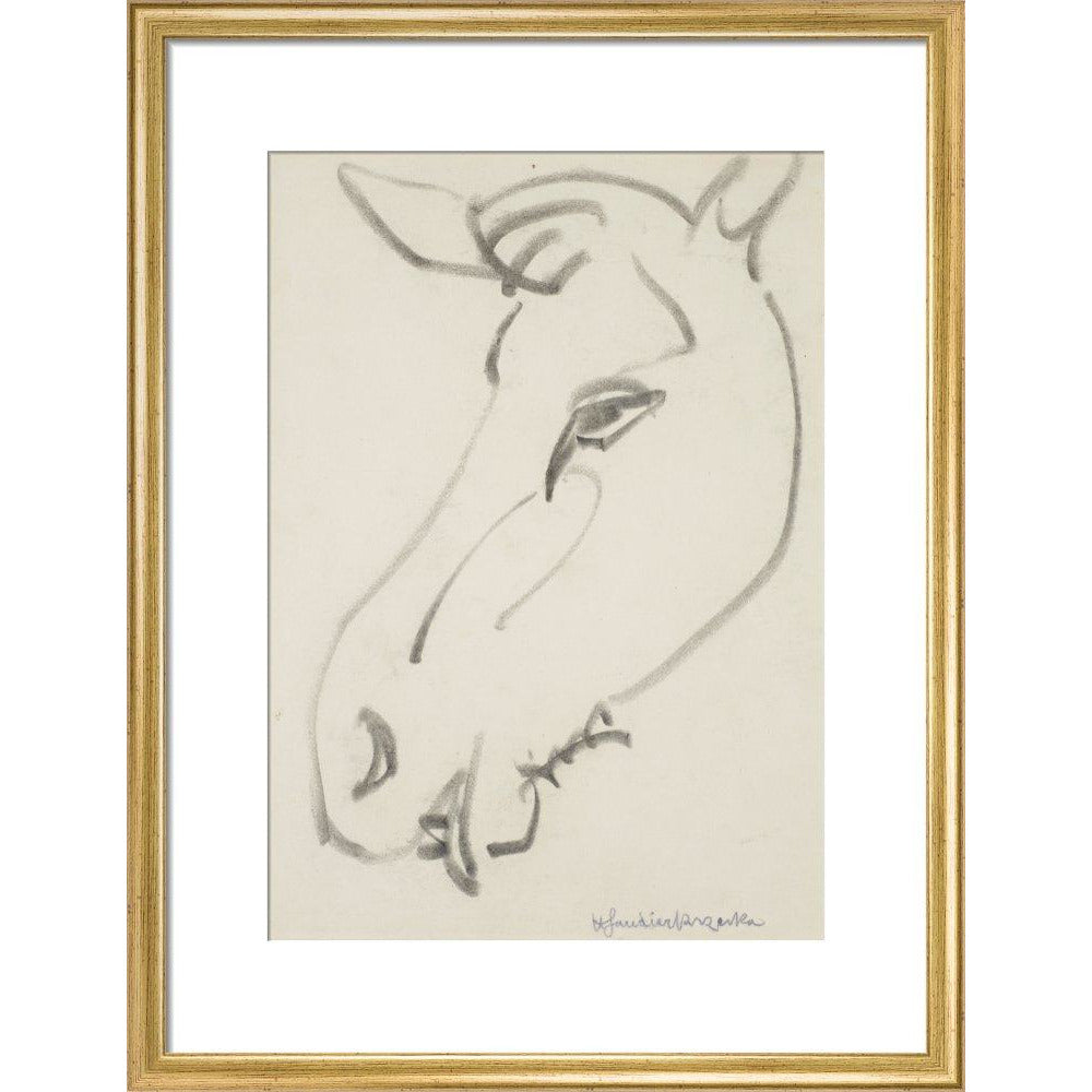 Head of a horse - Art print