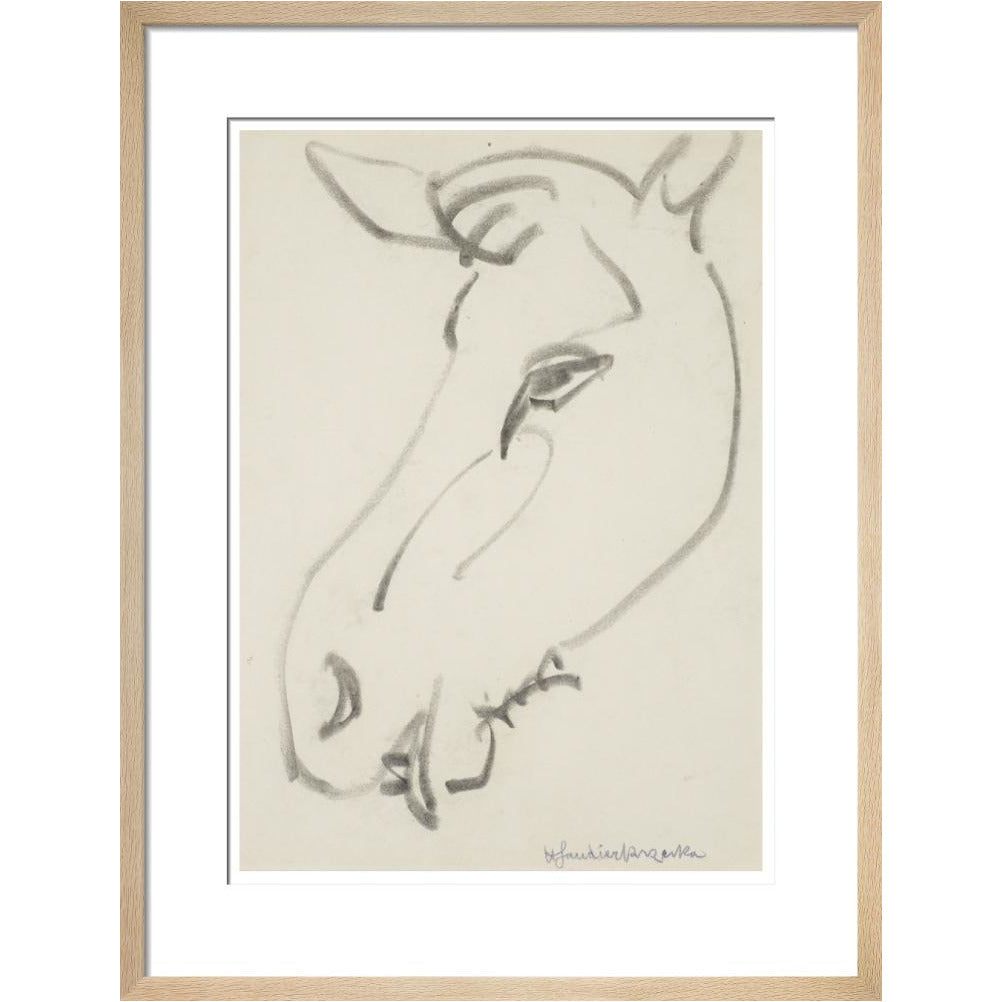 Head of a horse - Art print