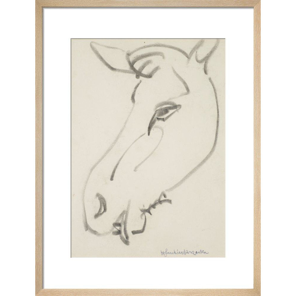 Head of a horse - Art print