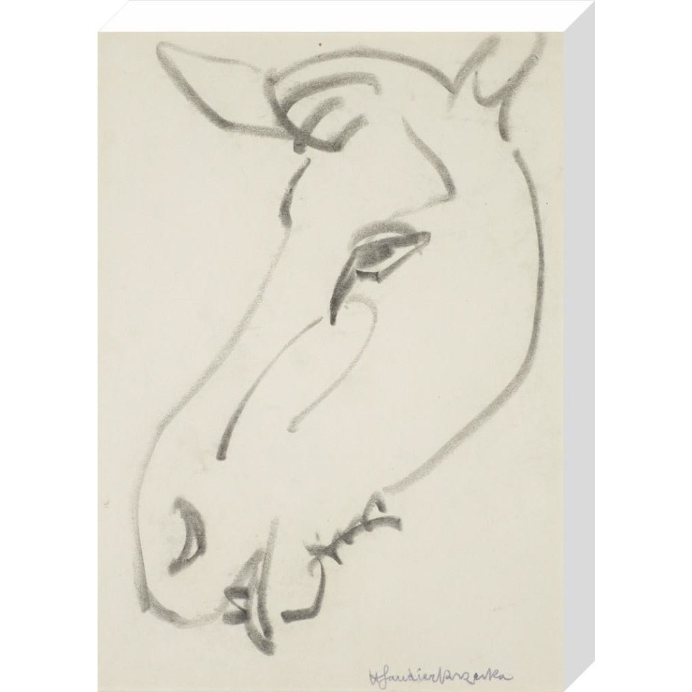 Head of a horse - Art print