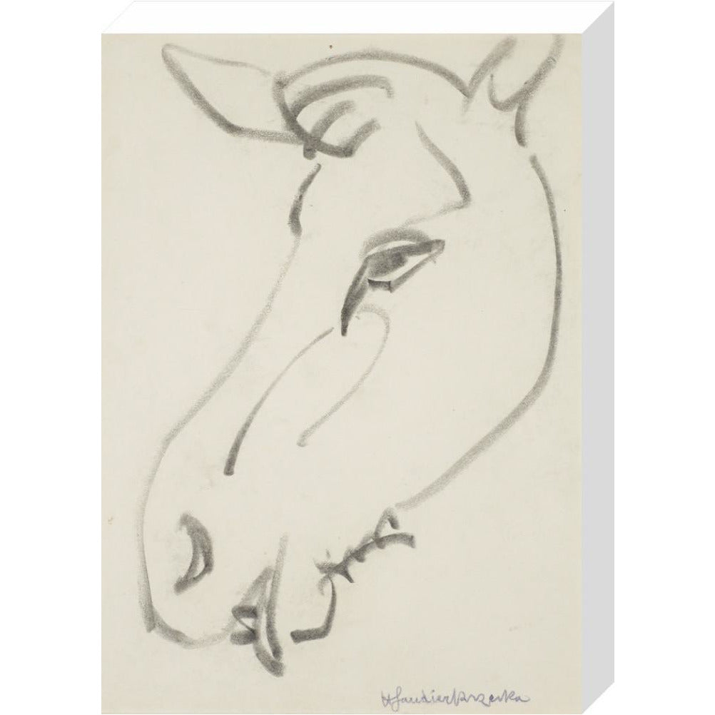Head of a horse - Art print