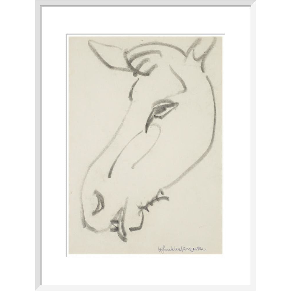 Head of a horse - Art print