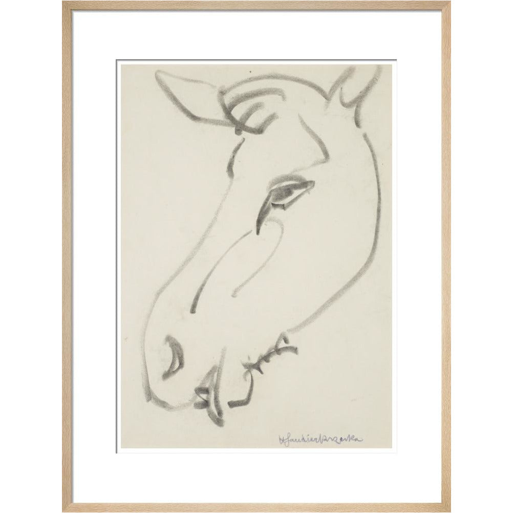 Head of a horse - Art print