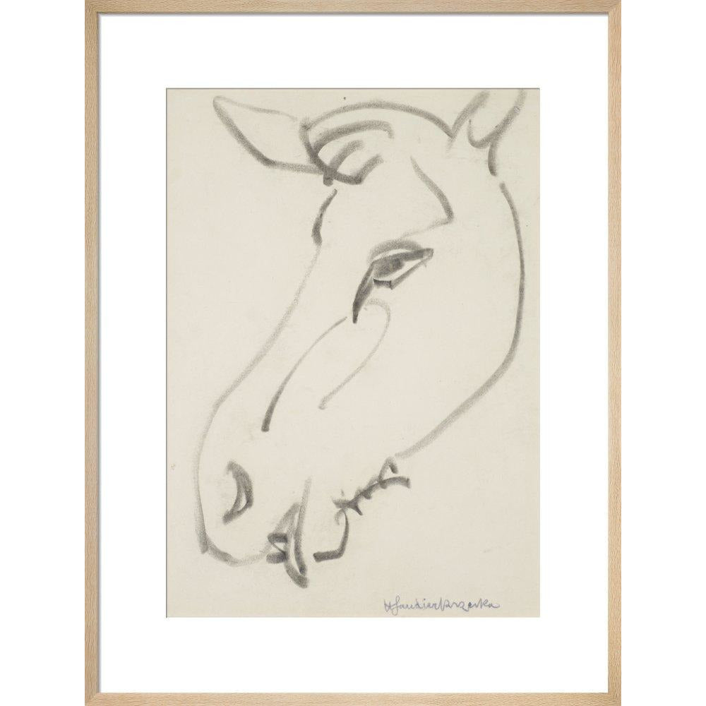 Head of a horse - Art print