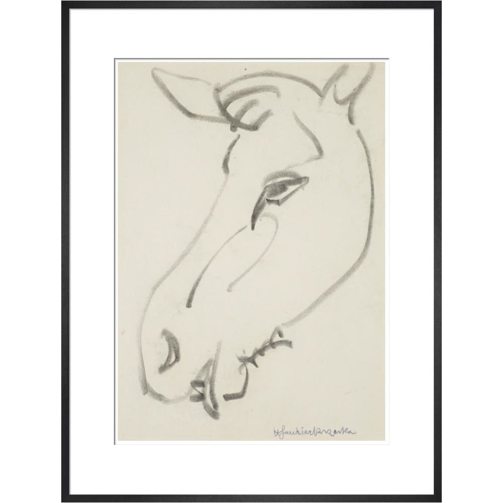 Head of a horse - Art print