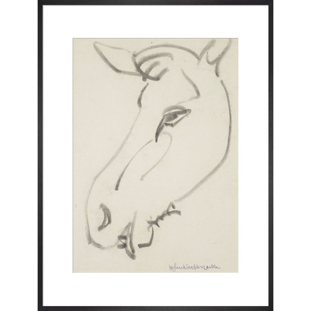 Head of a horse - Art print
