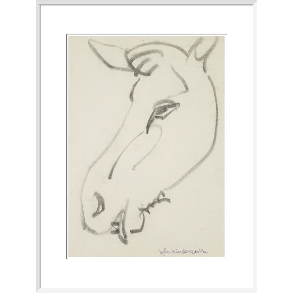 Head of a horse - Art print