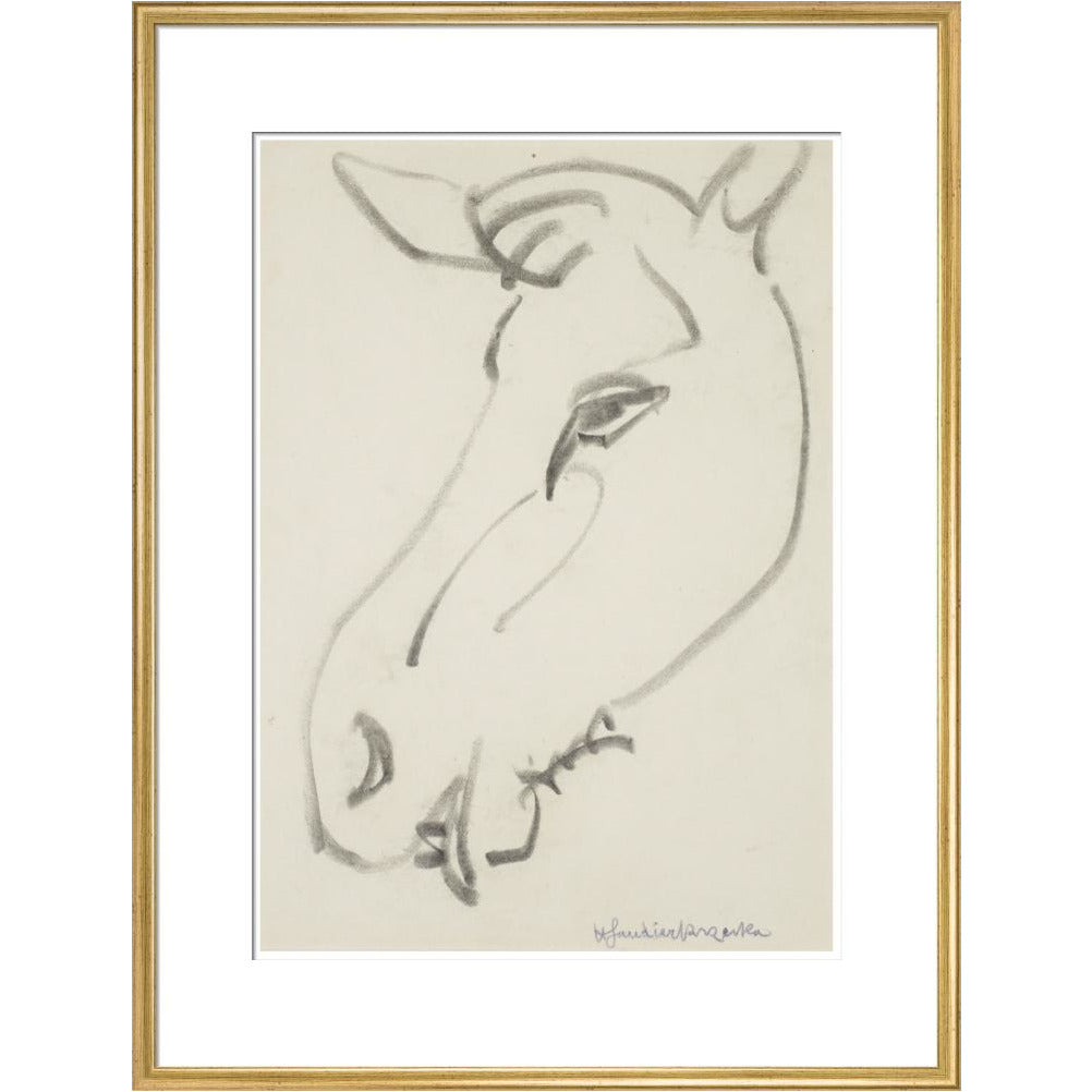 Head of a horse - Art print