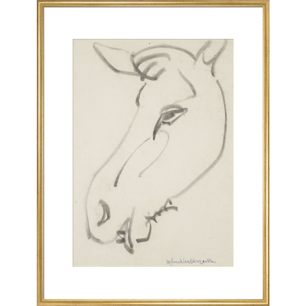 Head of a horse - Art print