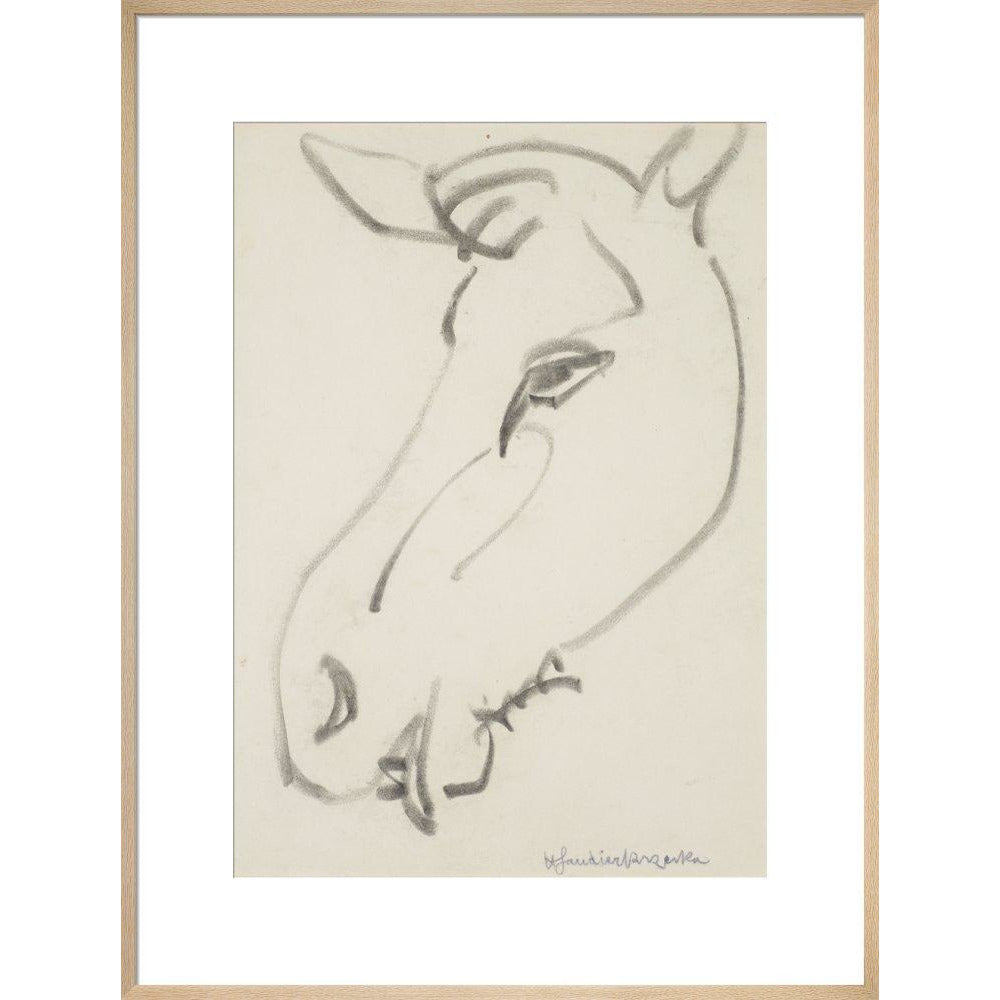 Head of a horse - Art print