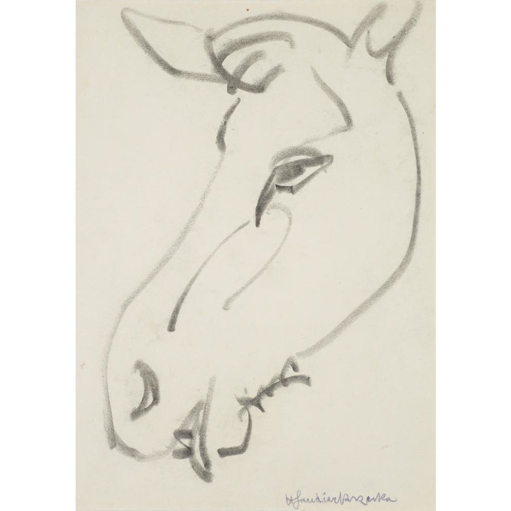 Head of a horse - Art print