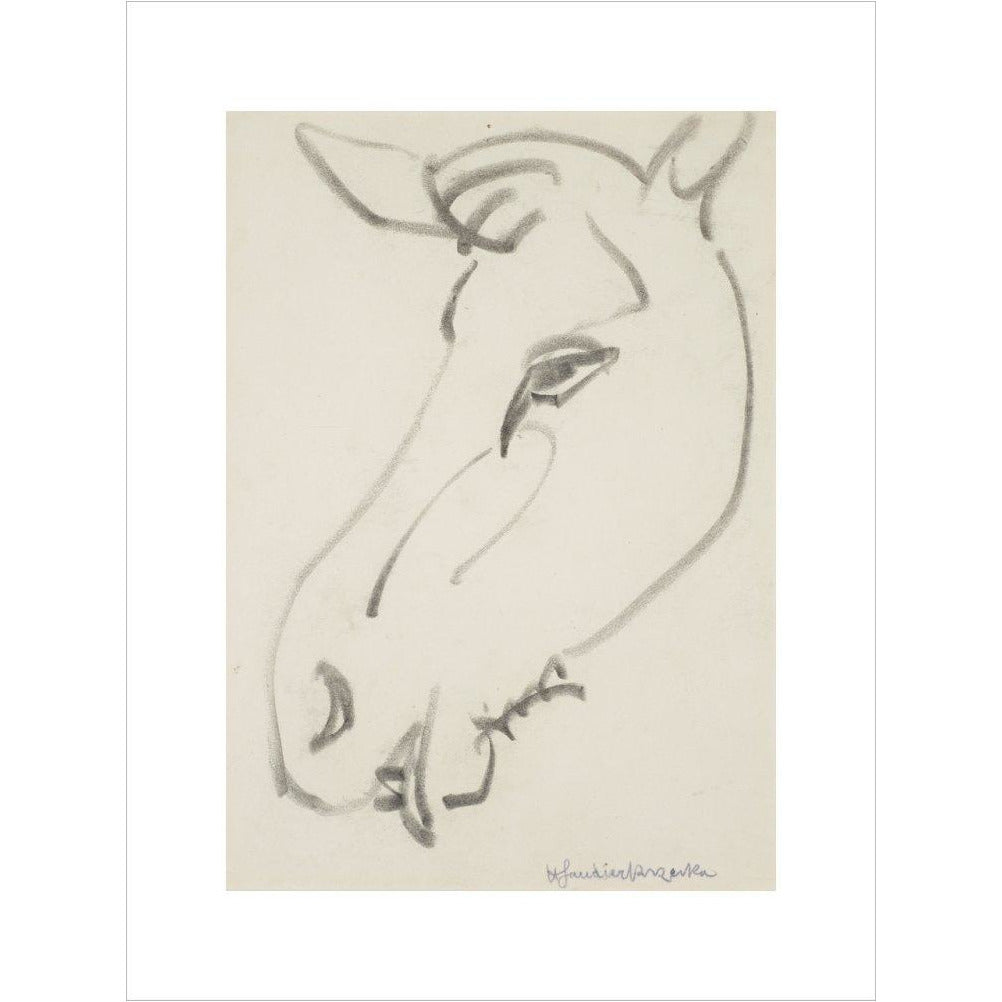 Head of a horse - Art print