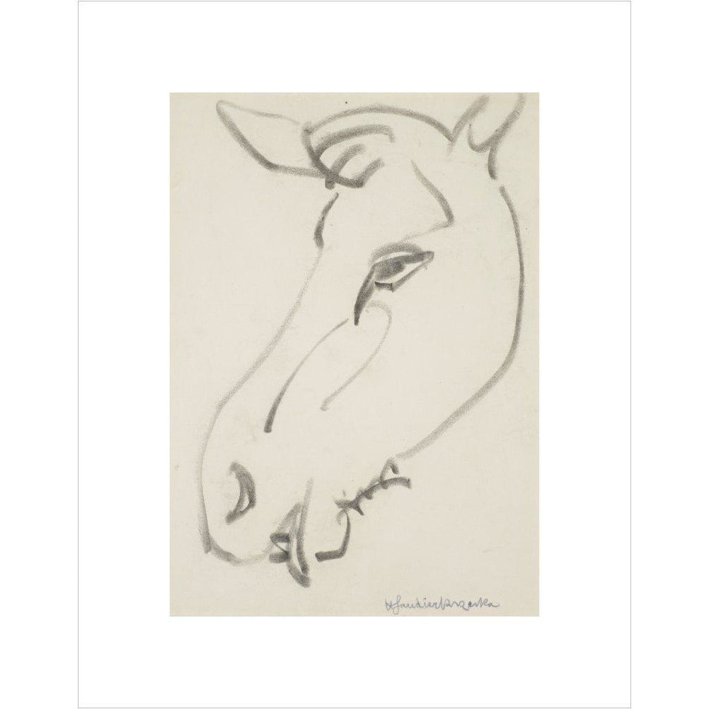 Head of a horse - Art print
