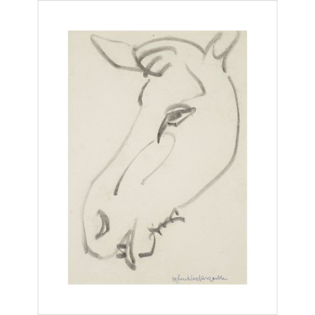Head of a horse - Art print