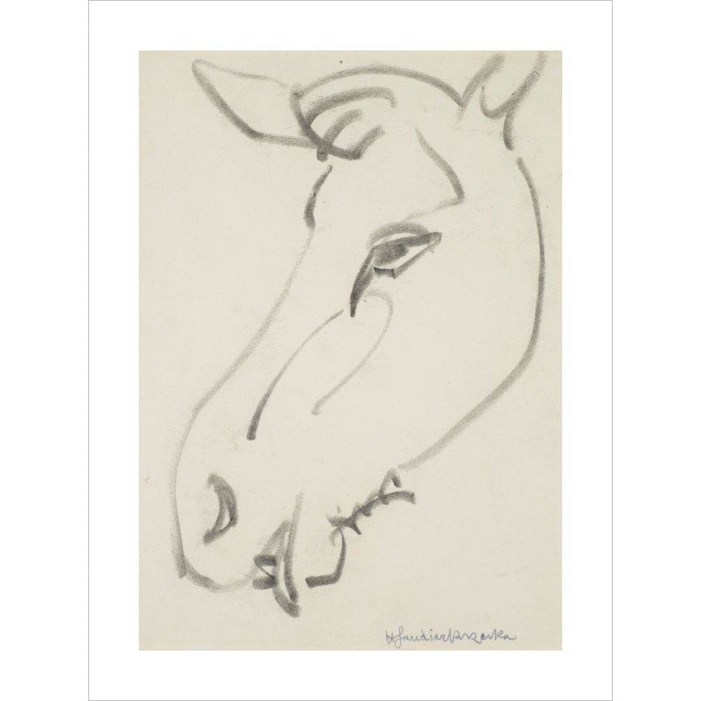 Head of a horse - Art print