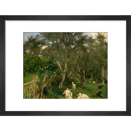 Olives in Corfu - Art print