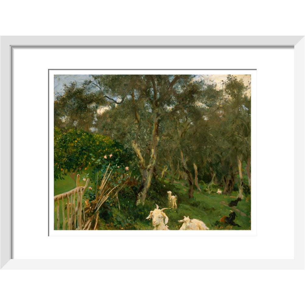 Olives in Corfu - Art print