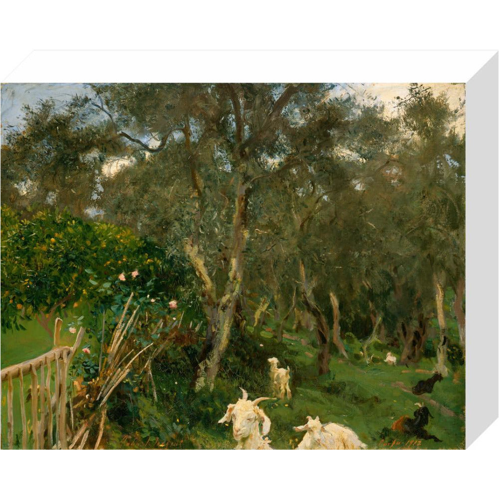Olives in Corfu - Art print