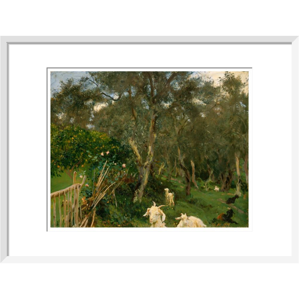 Olives in Corfu - Art print