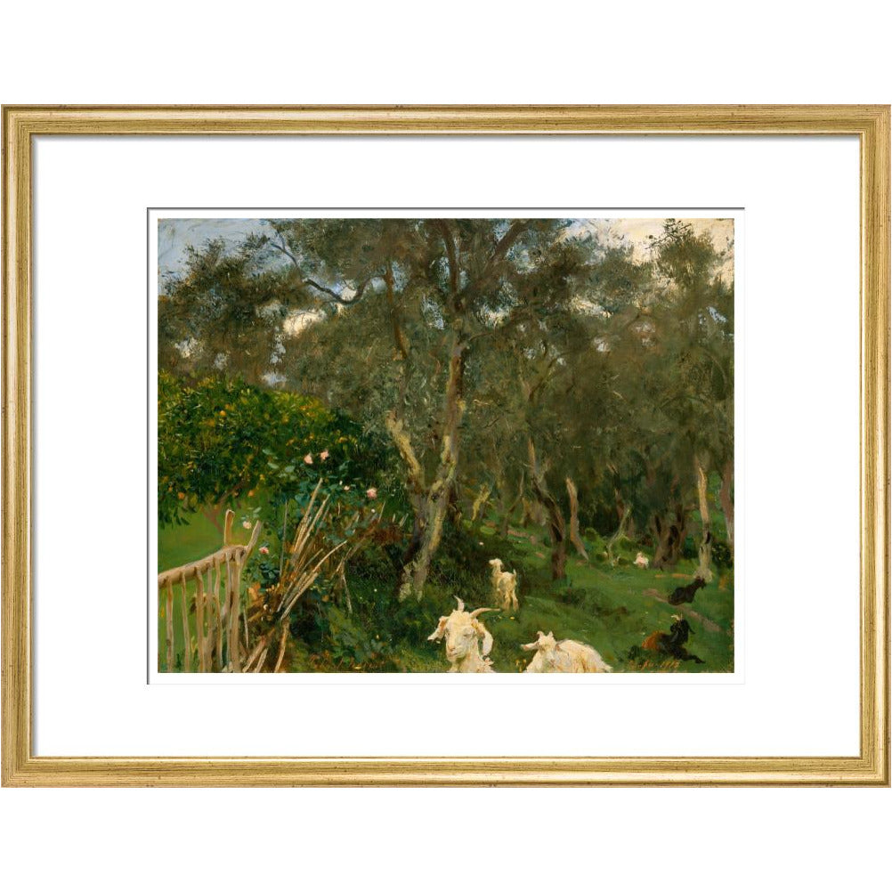 Olives in Corfu - Art print