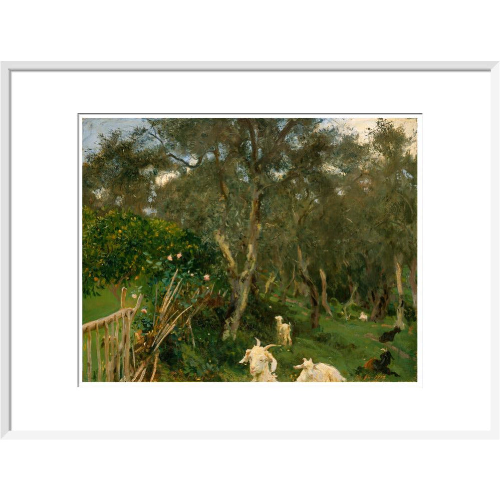 Olives in Corfu - Art print