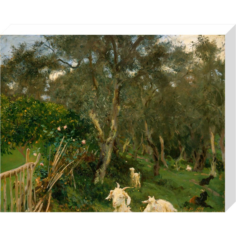 Olives in Corfu - Art print