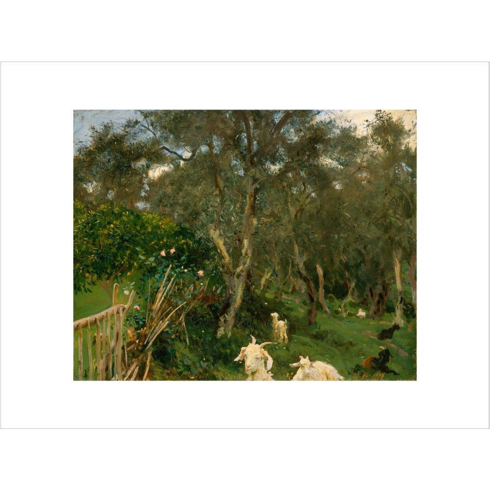 Olives in Corfu - Art print