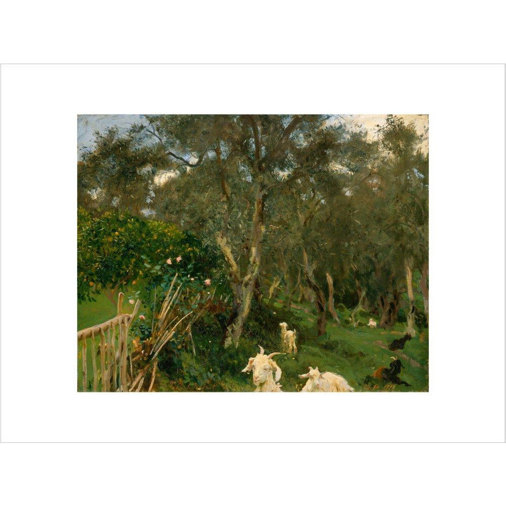 Olives in Corfu - Art print