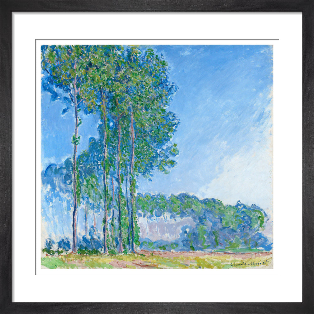 Monet's Poplars - Art print