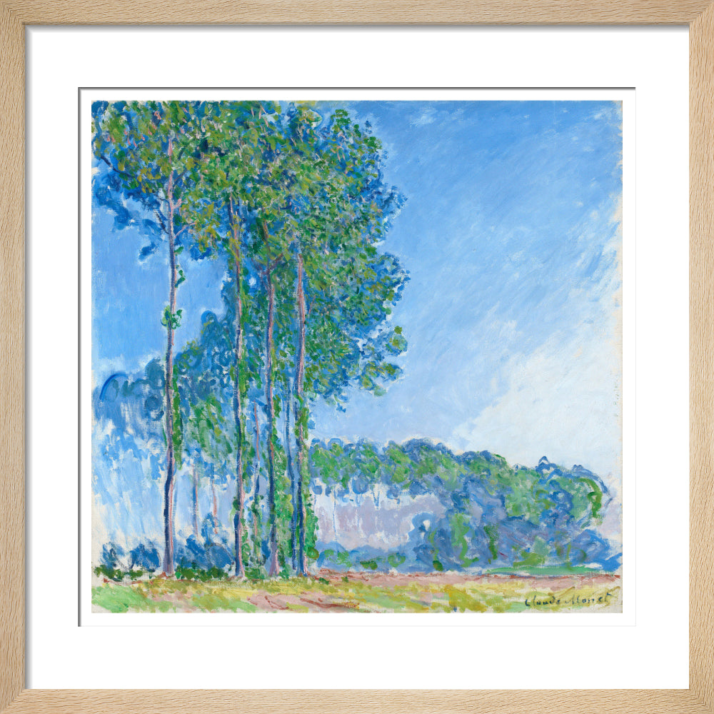 Monet's Poplars - Art print