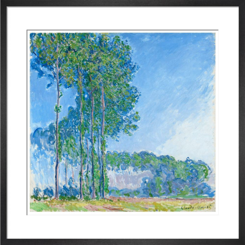 Monet's Poplars - Art print