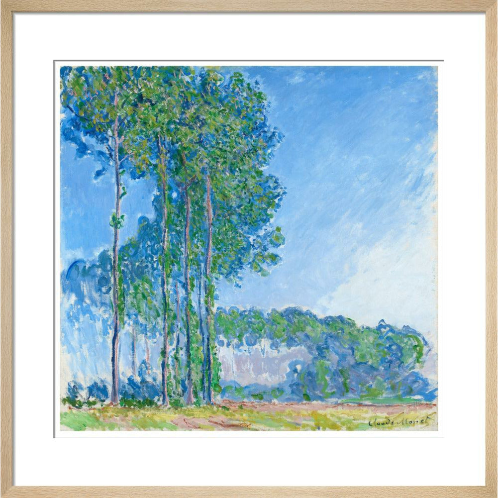 Monet's Poplars - Art print