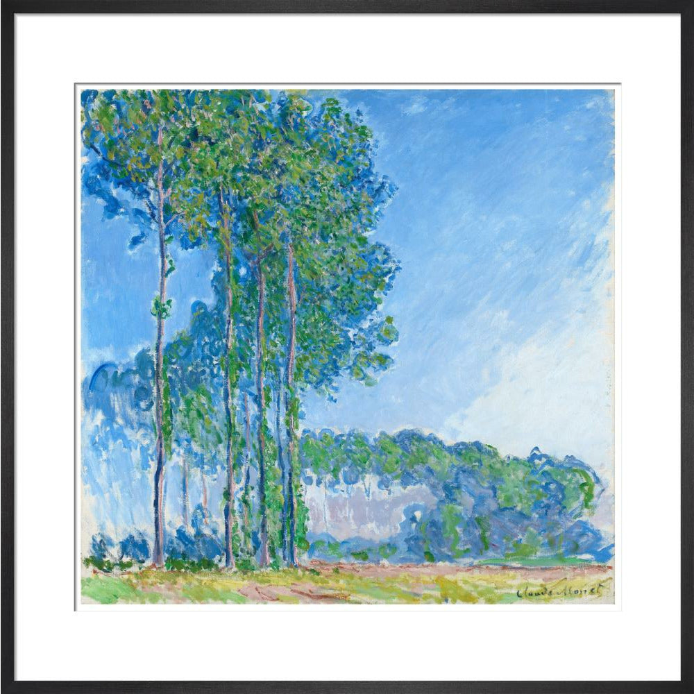 Monet's Poplars - Art print