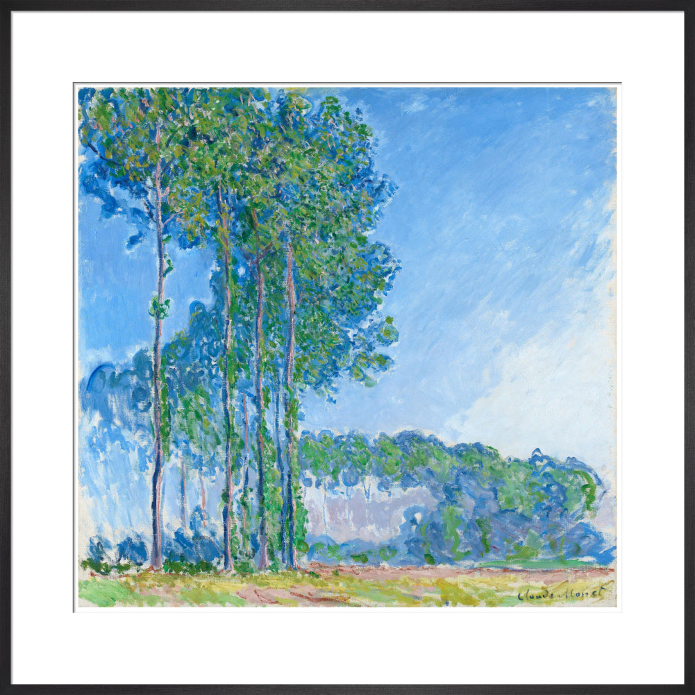 Monet's Poplars - Art print