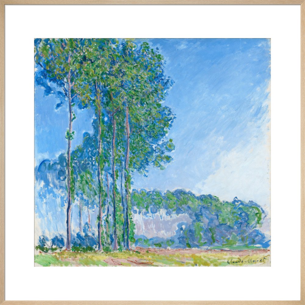 Monet's Poplars - Art print