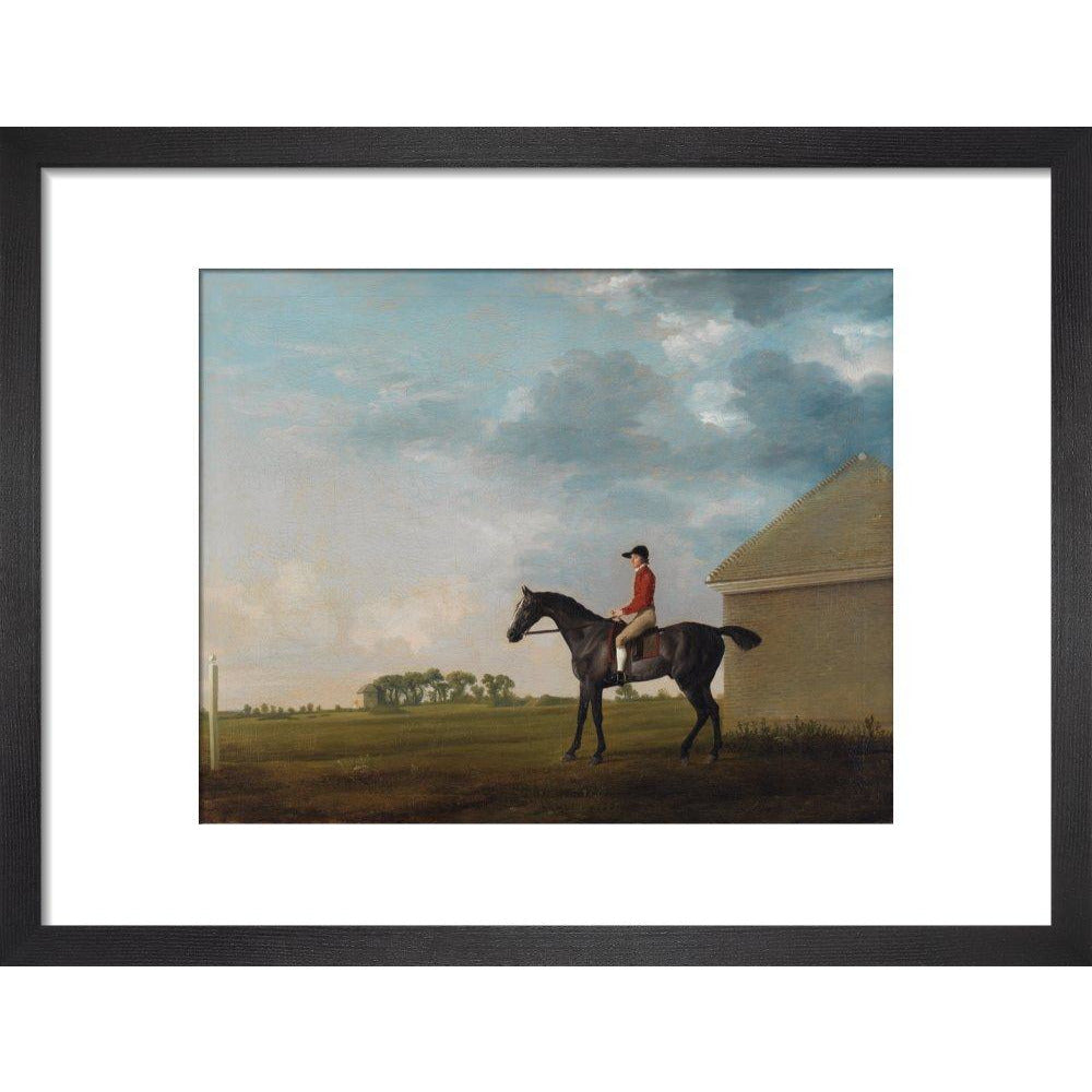 Gimcrack - Art print