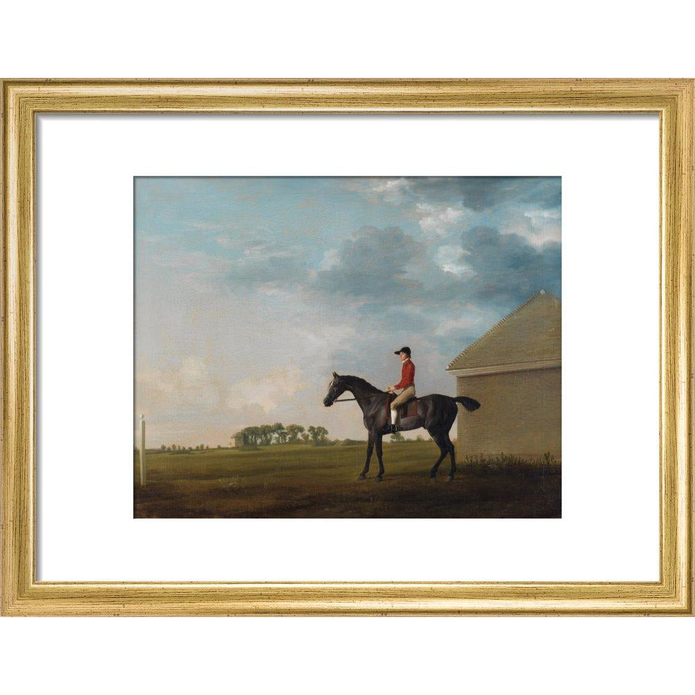 Gimcrack - Art print