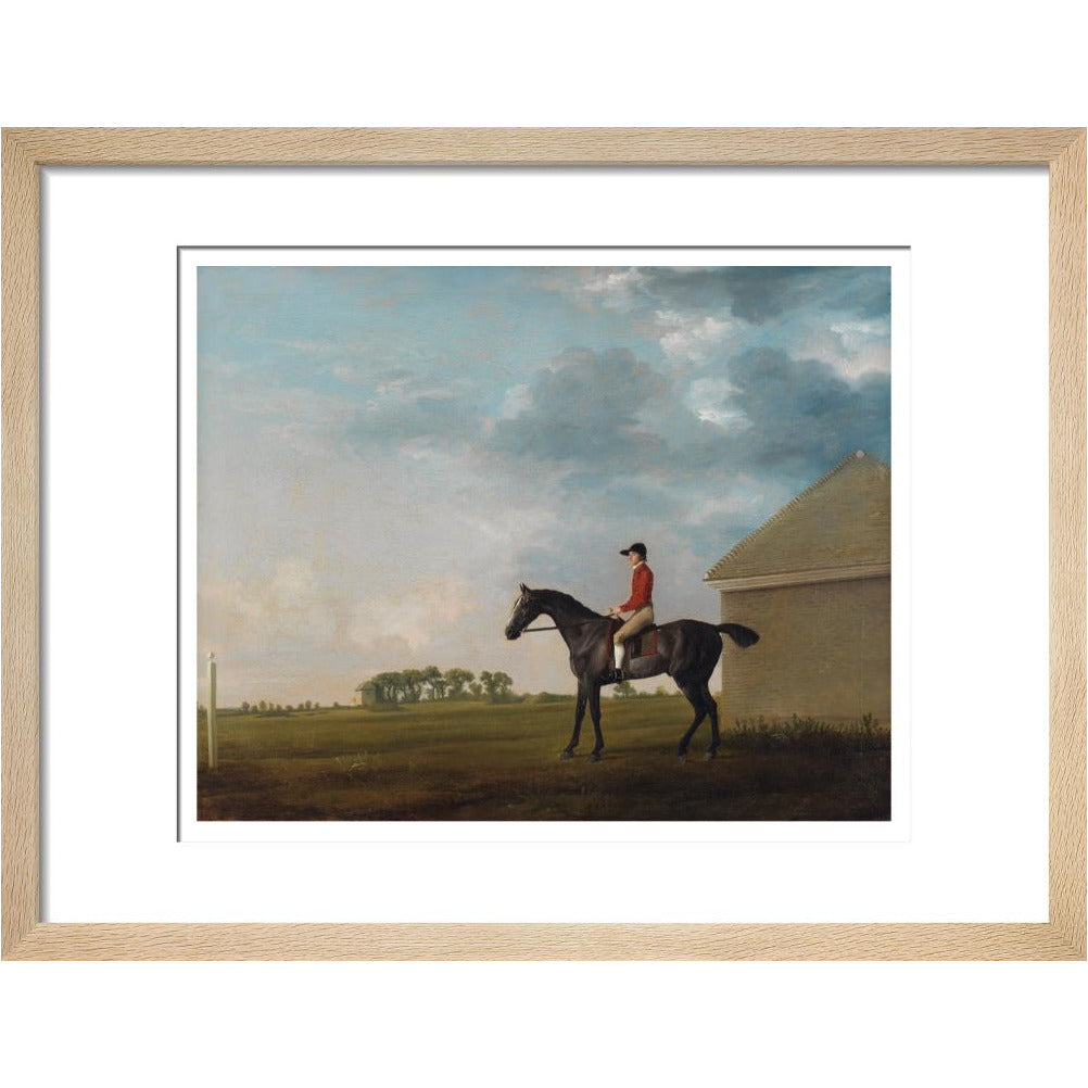 Gimcrack - Art print
