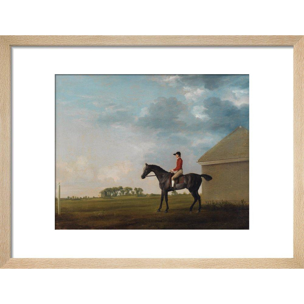 Gimcrack - Art print