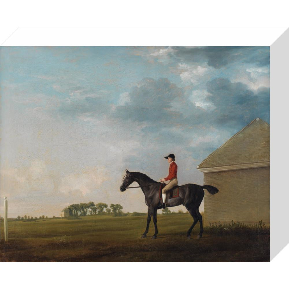 Gimcrack - Art print