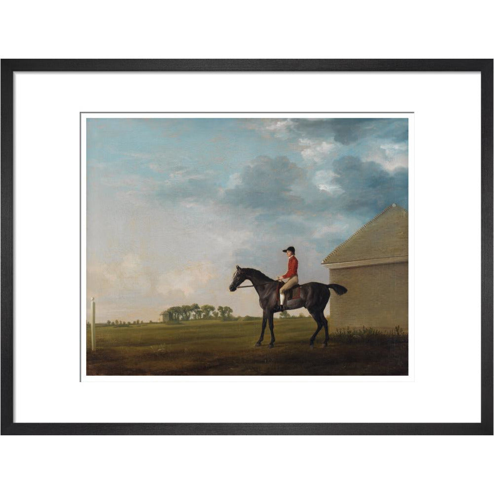 Gimcrack - Art print