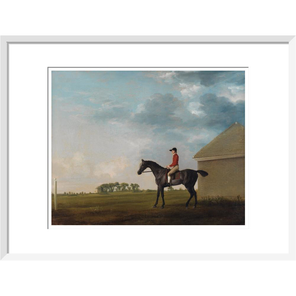 Gimcrack - Art print