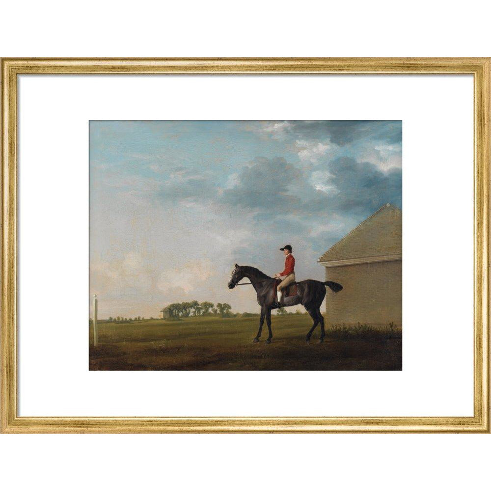 Gimcrack - Art print