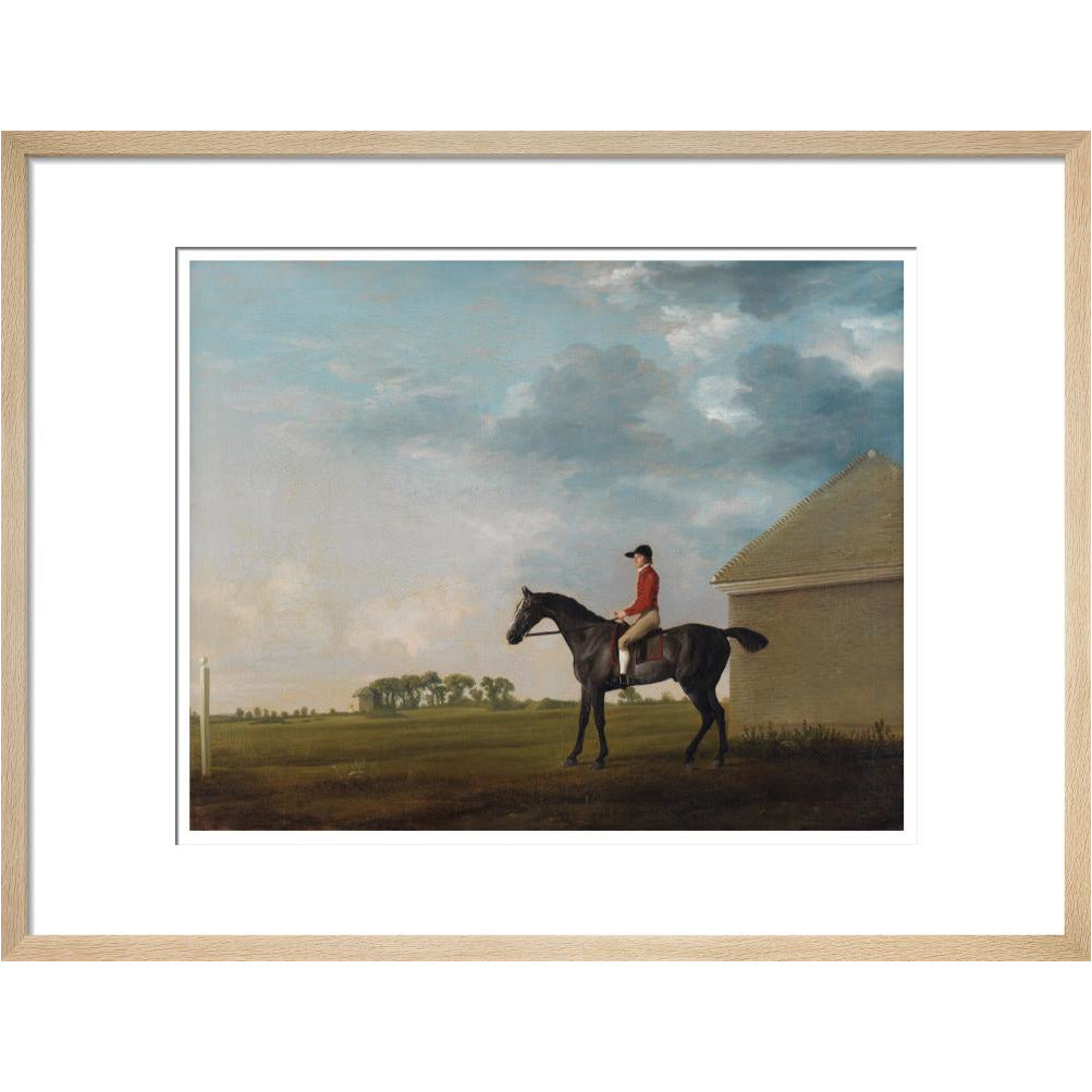 Gimcrack - Art print