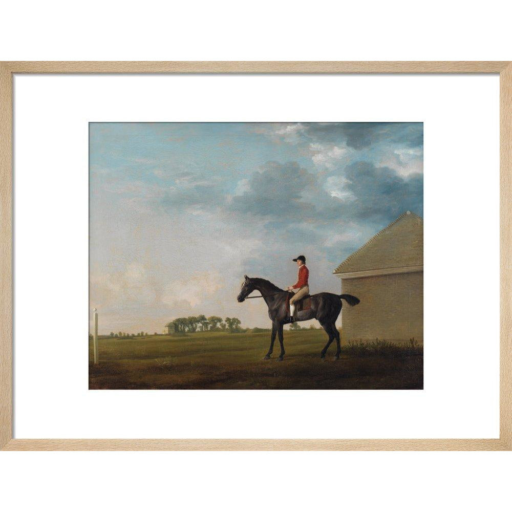 Gimcrack - Art print