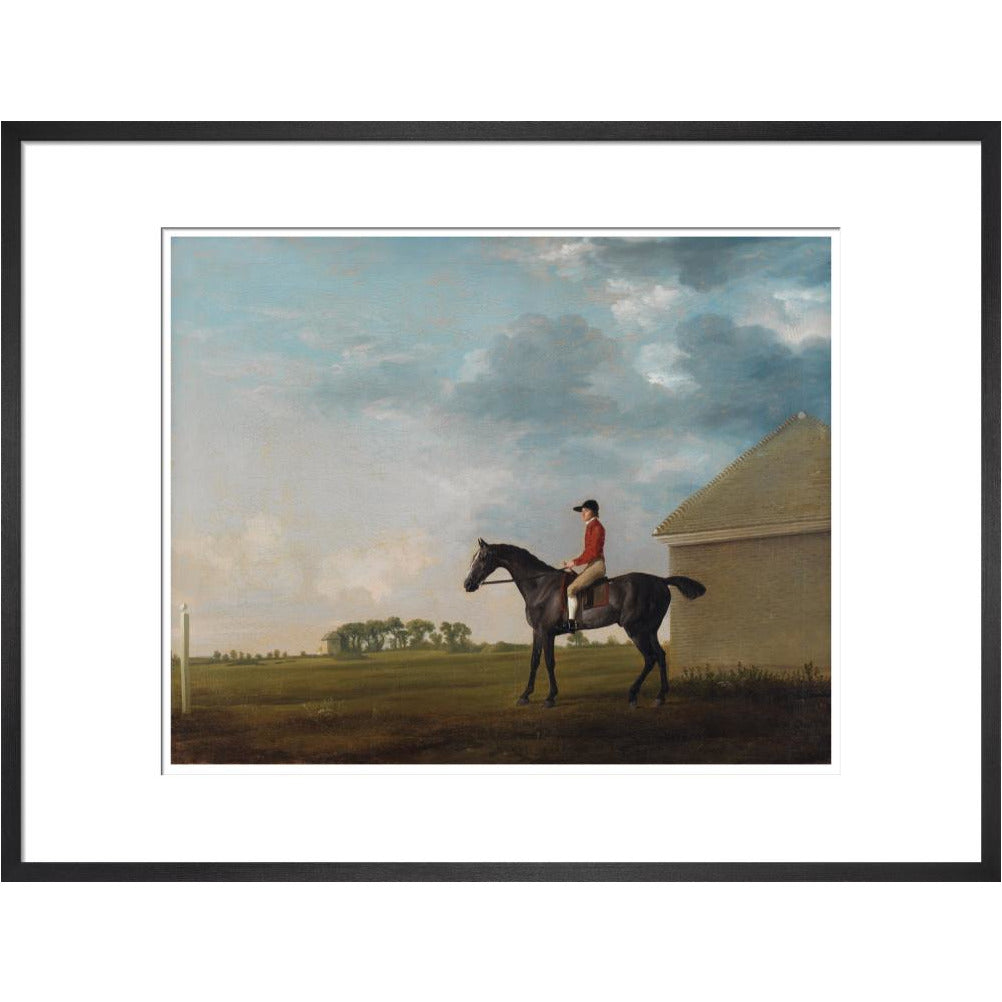 Gimcrack - Art print