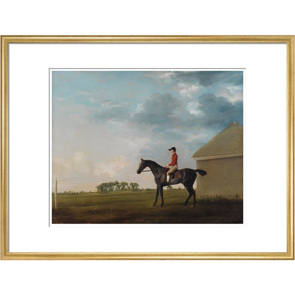 Gimcrack - Art print