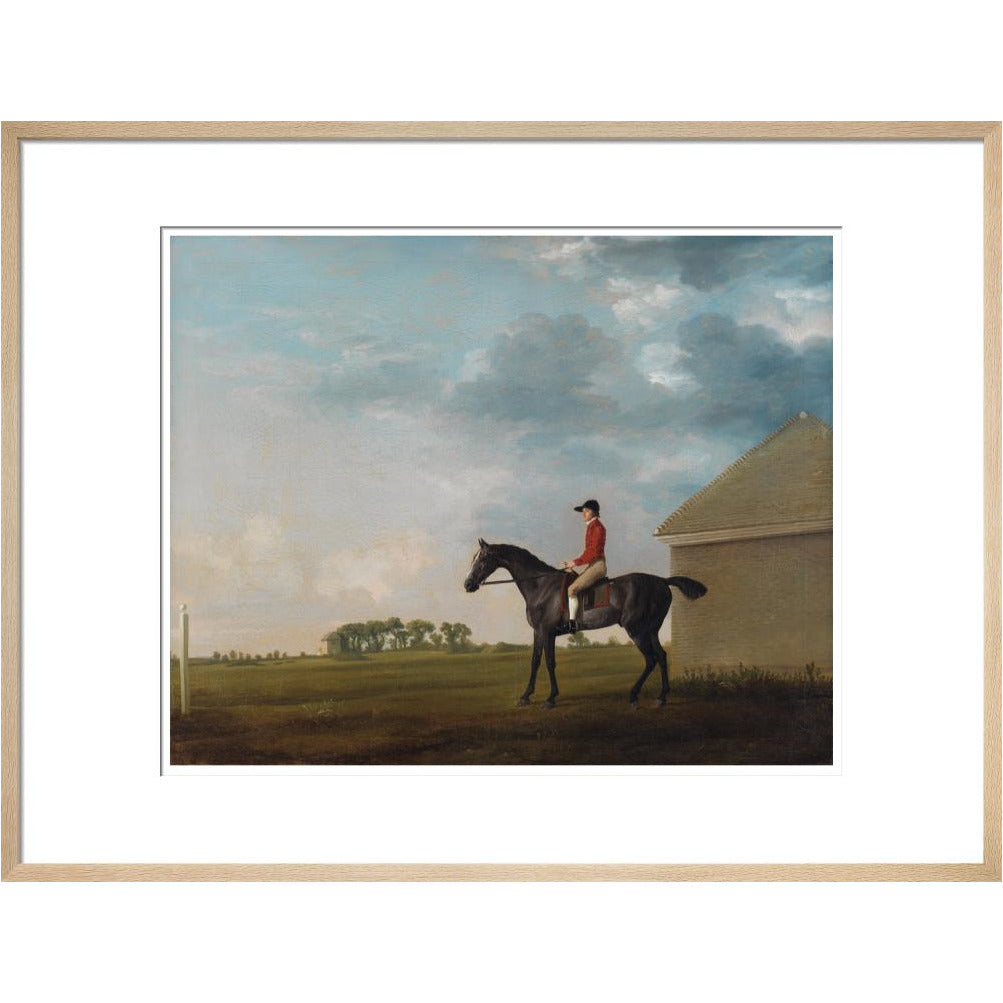 Gimcrack - Art print