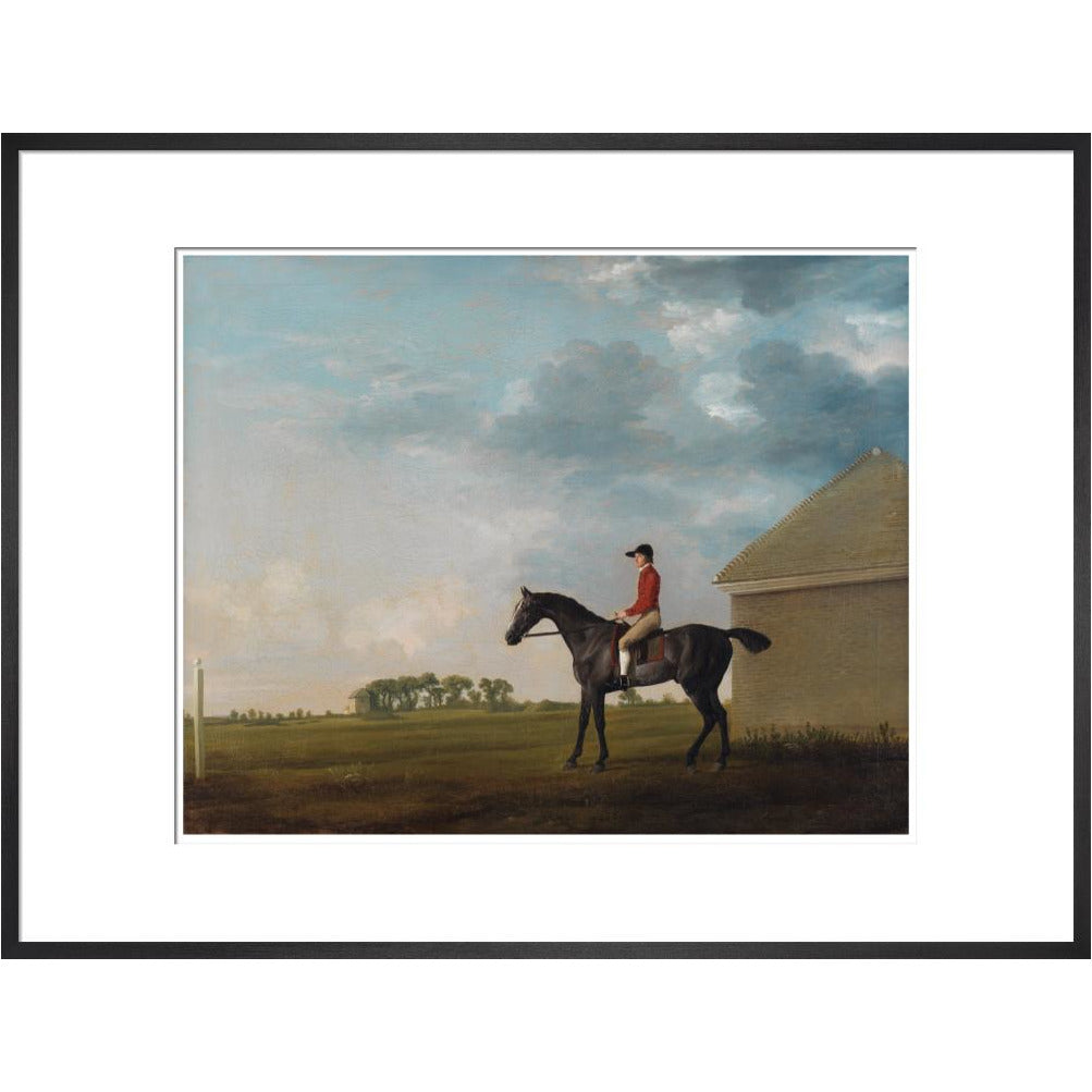Gimcrack - Art print